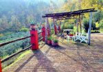 Typical Tuscan farmhouse