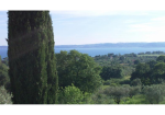 Splendid villa overlooking lake bracciano, near Rome
