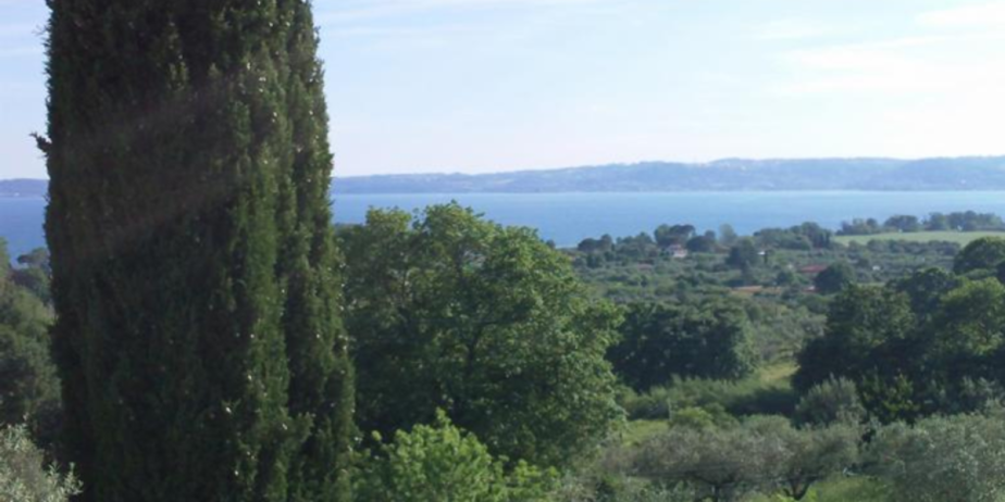 Splendid villa overlooking lake bracciano, near Rome