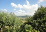 Villa in a beautiful regional park in the ancient village of Serra San Quirico