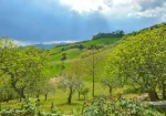 Beautiful farmhouse in Macerata Feltria for sale