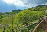 Beautiful farmhouse in Macerata Feltria for sale