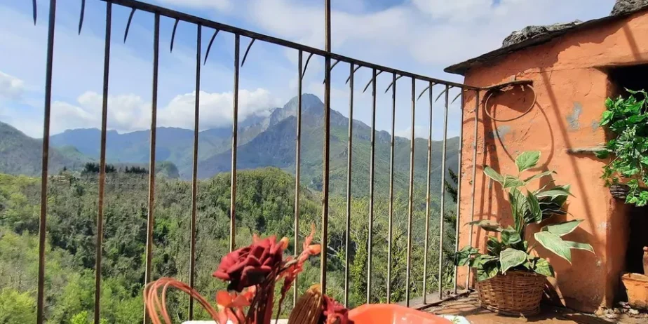 Extremely attractive house in the medieval village of Trassilico, in Gallicano.