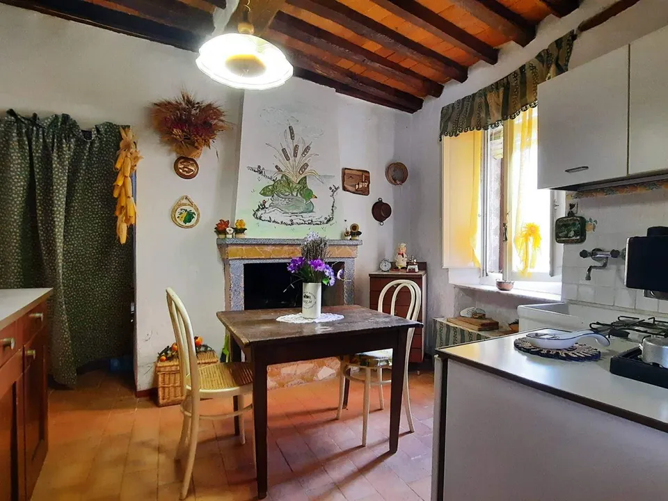 Extremely attractive house in the medieval village of Trassilico, in Gallicano.