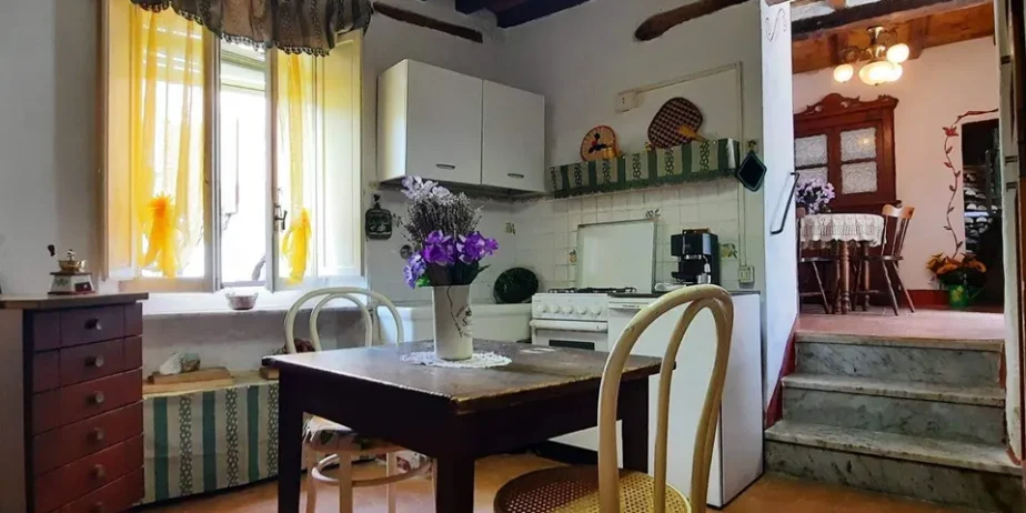 Extremely attractive house in the medieval village of Trassilico, in Gallicano.