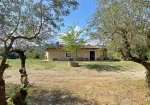 The nice house  in the countryside near  Todi for sale