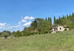 The nice house  in the countryside near  Todi for sale