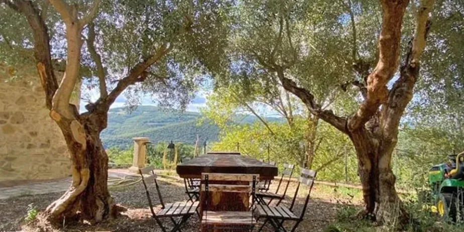 The nice house  in the countryside near  Todi for sale