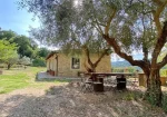 The nice house  in the countryside near  Todi for sale