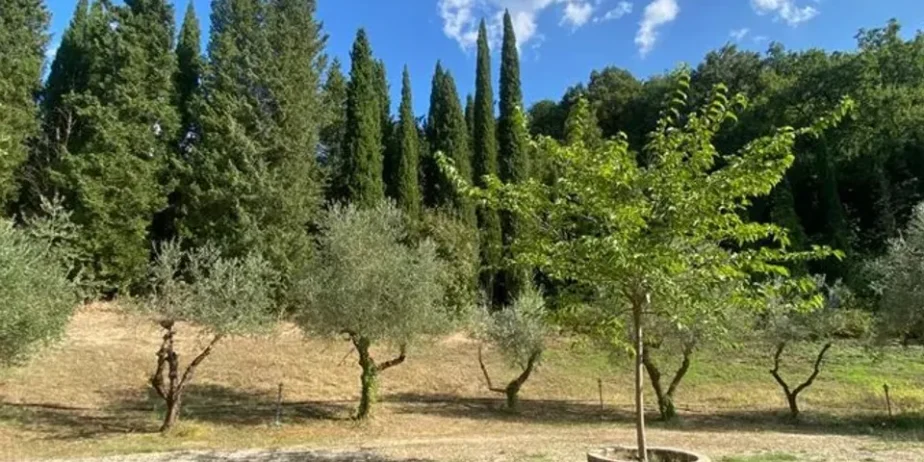 The nice house  in the countryside near  Todi for sale