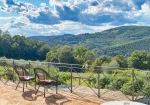 The nice house  in the countryside near  Todi for sale