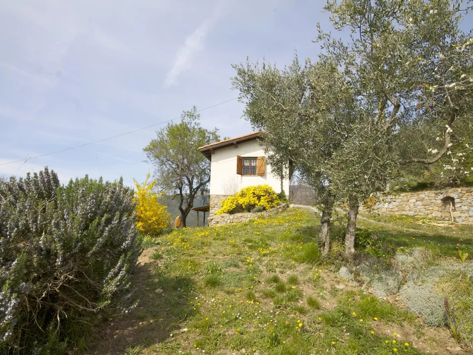 Antique villa in Castel Vittorio villa for sale