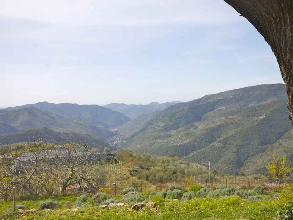Antique villa in Castel Vittorio villa for sale