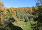 Stone farmhouse in Filattiera for sale