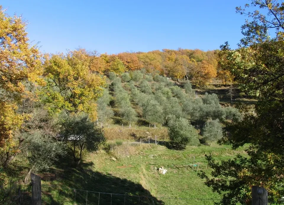 Stone farmhouse in Filattiera for sale