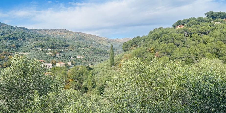 Semi-detached villa with large courtyard and land