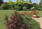 Historical villa for sale in San Giorgio di Piano