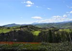 House ” Belvedere” with private land, partly buildable , for sale in Gualdo (Mc) Marche , Italy