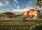 Beautiful tuscan style farmhouse with park and swimming pool in Peccioli