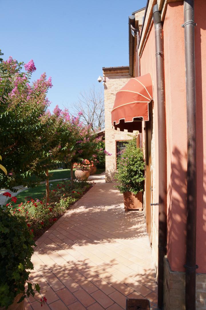 Prestigious villa in a splendid hilly position in Potenza Picena with sea view, olive grove, swimming pool and dependence.
