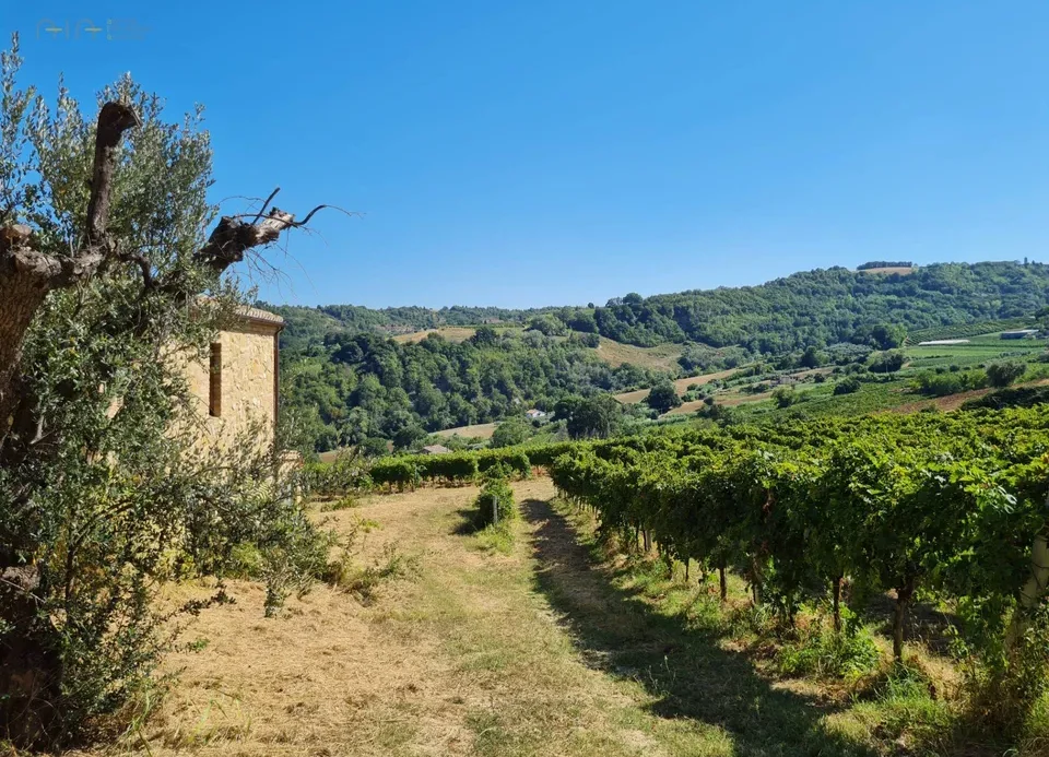 Beautiful farmhouse in Ripatransone, Ascoli Piceno of sale