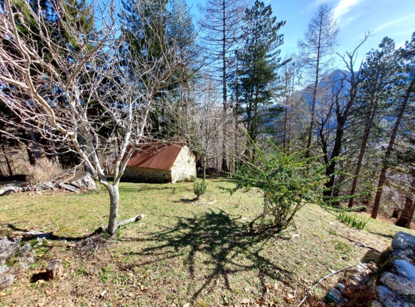 Typical mountain farmhouse with large land