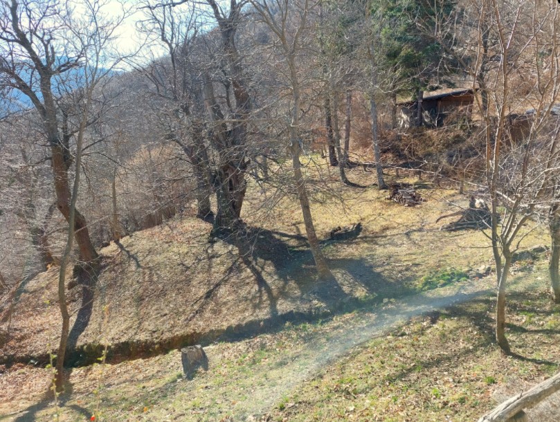 Typical mountain farmhouse with large land