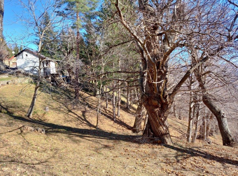 Typical mountain farmhouse with large land