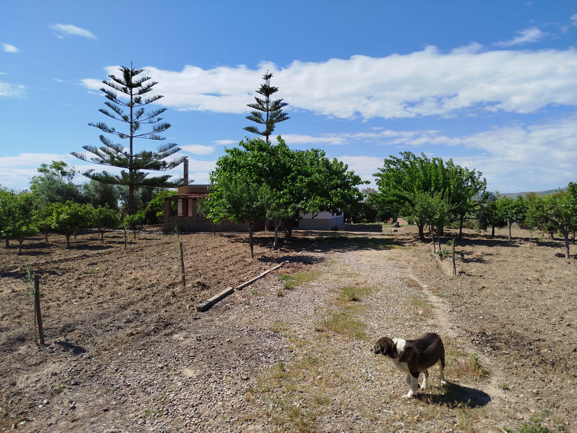 Seaside Country Home 150m2, 2 garages