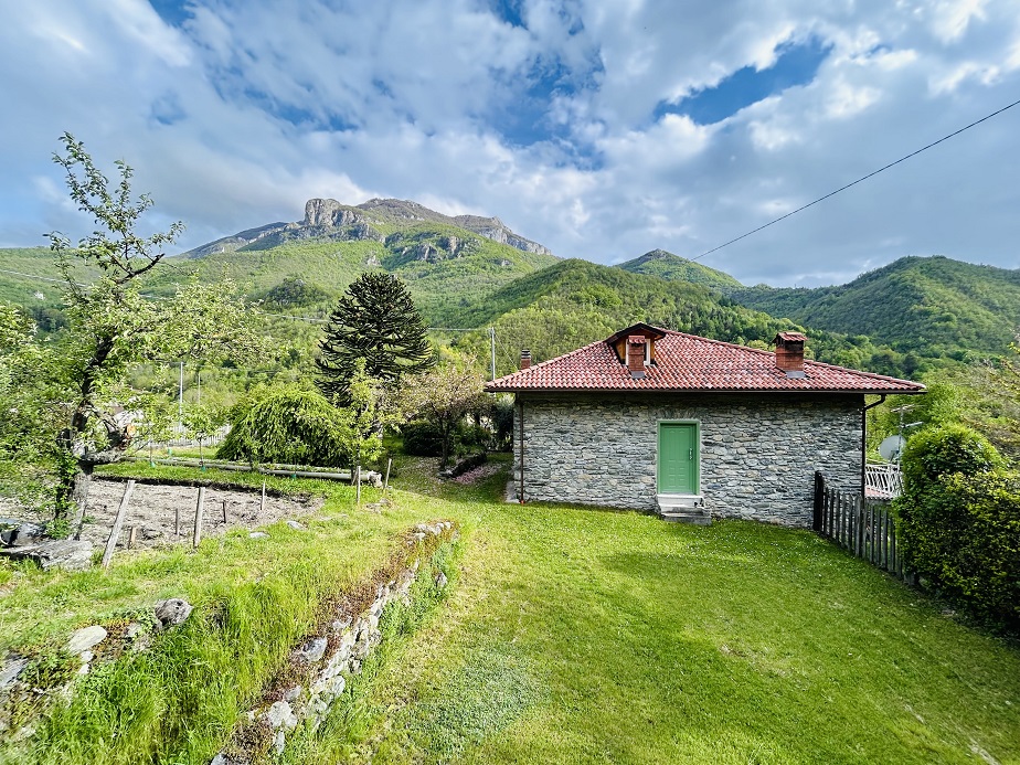 Detached house with 6500 m2 of agricultural land