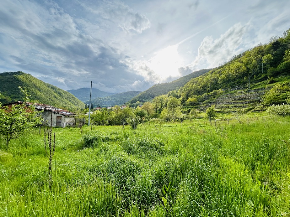 Detached house with 6500 m2 of agricultural land