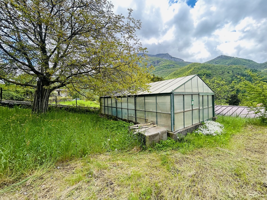 Detached house with 6500 m2 of agricultural land