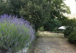 Stonehouse for Sale Poppi Tuscany