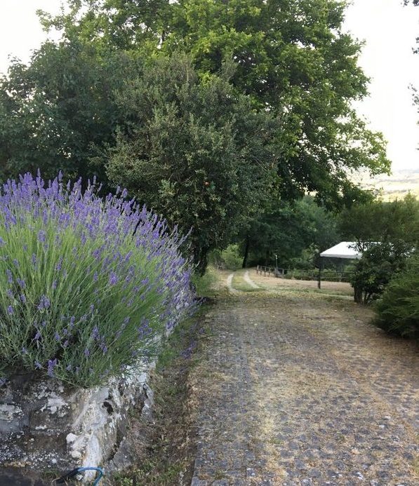 Stonehouse for Sale Poppi Tuscany