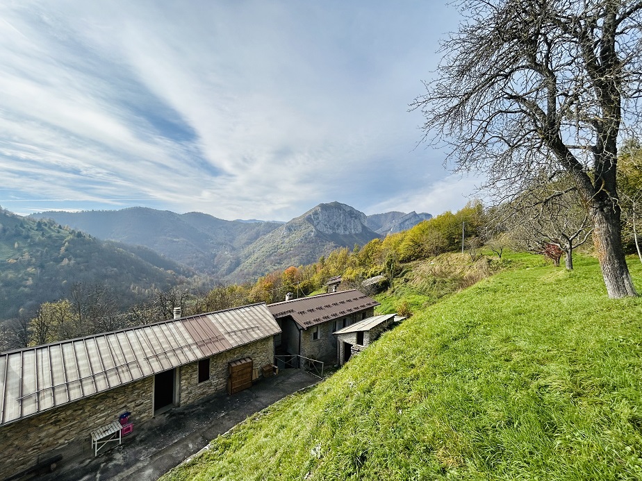 Detached house with land and stone farmhouse.