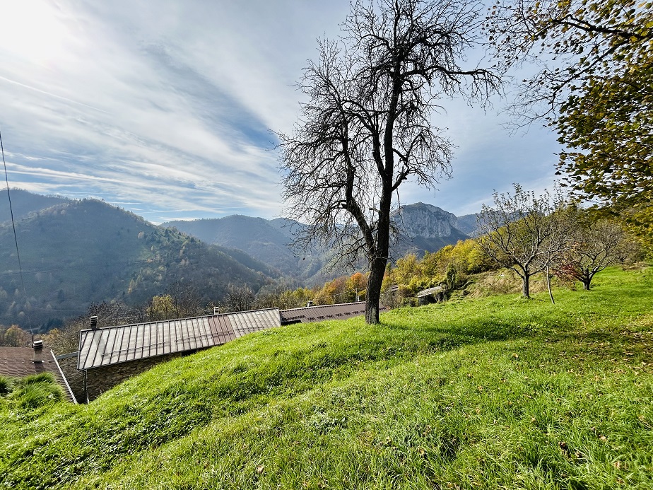 Detached house with land and stone farmhouse.