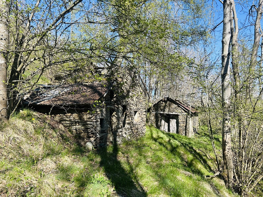 Detached rustic house with 19,000 m2 of land