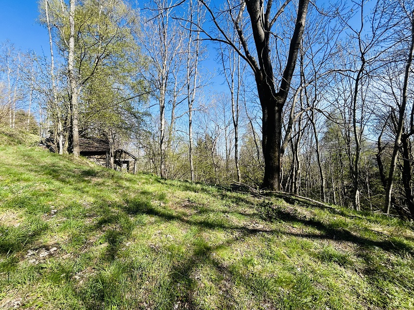 Detached rustic house with 19,000 m2 of land