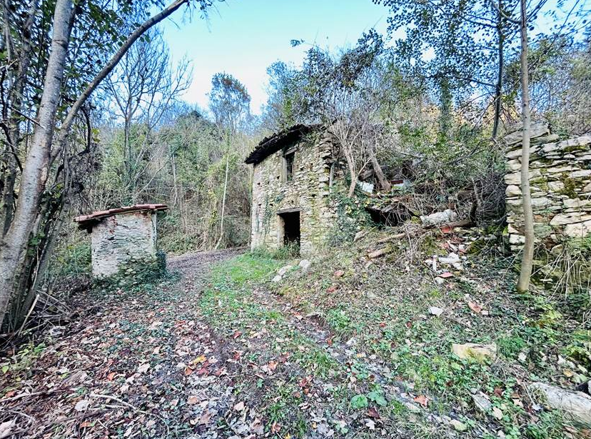 Large stone farmhouse with 18,000 m2 of land.