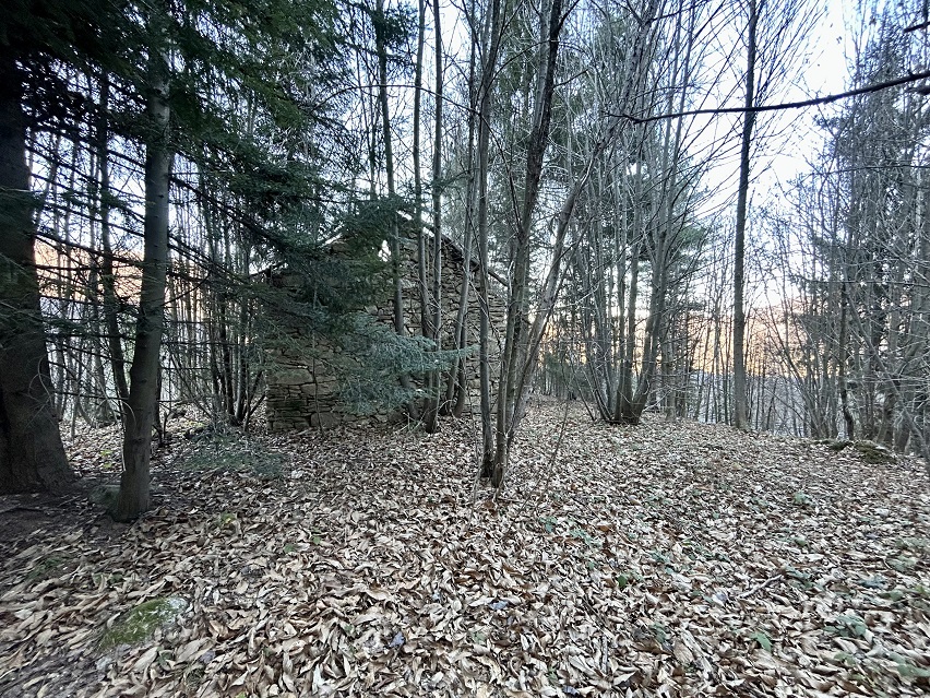 Detached house with garden and woods.