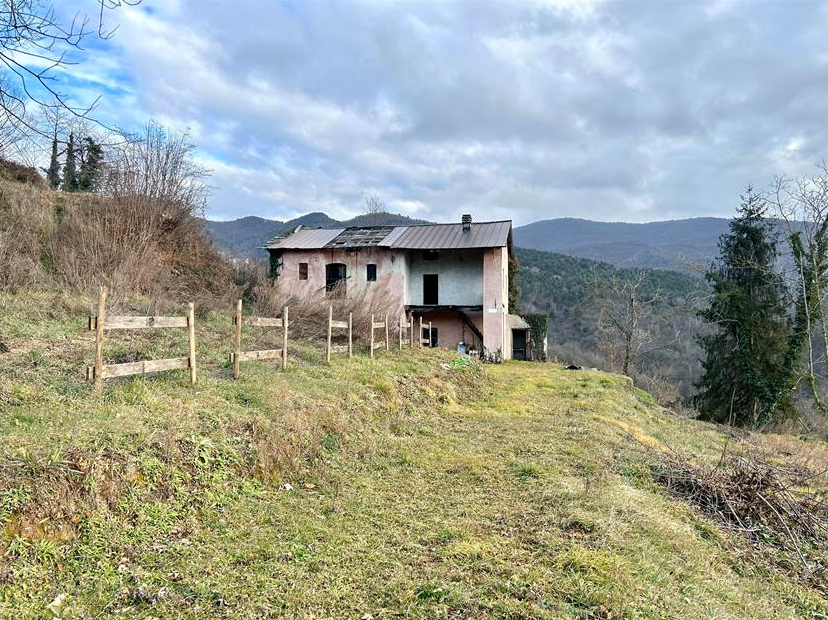 Farmhouse with land and private water source.