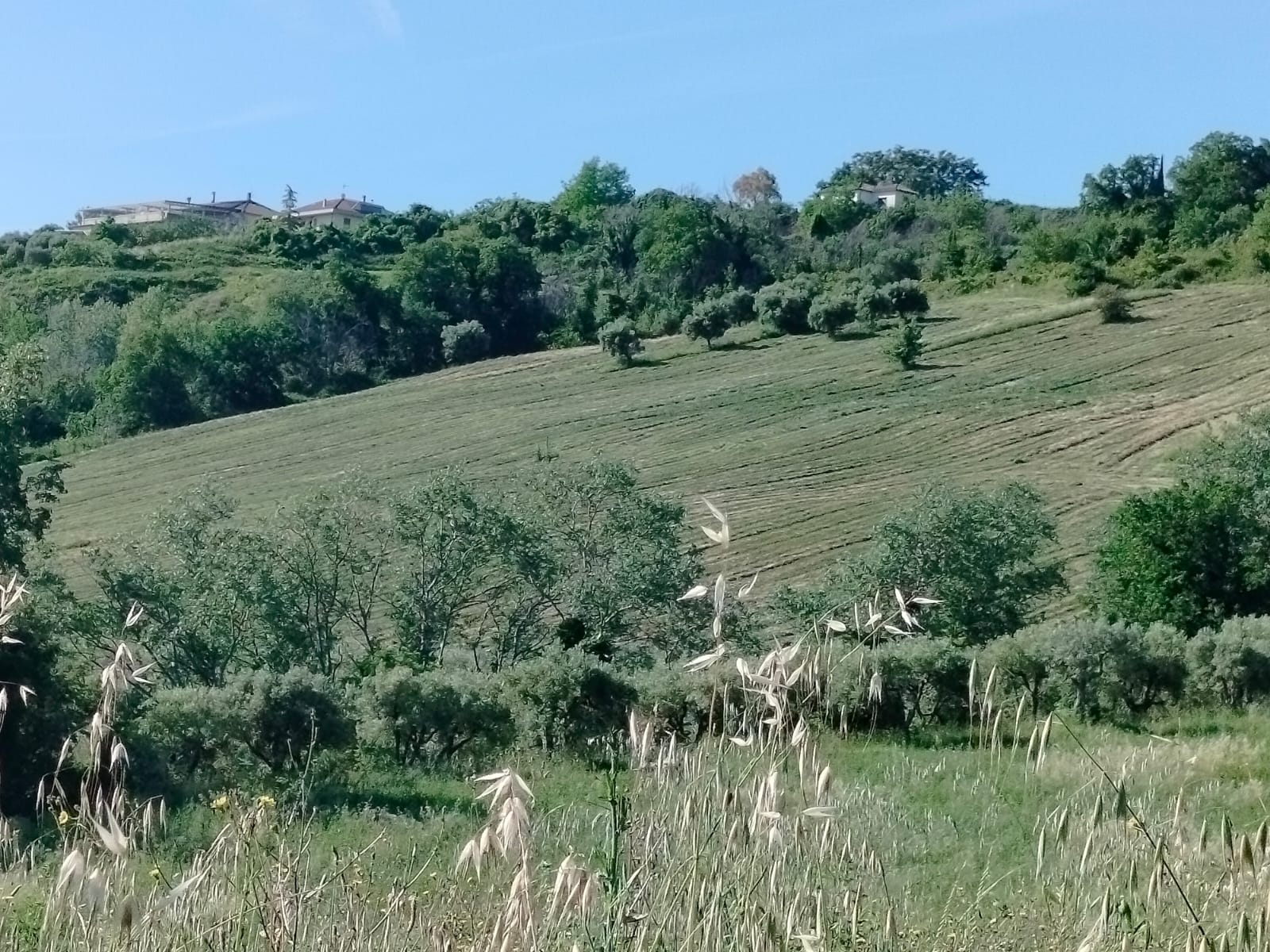 Exceptional Investment Opportunity in the Heart of Le Marche