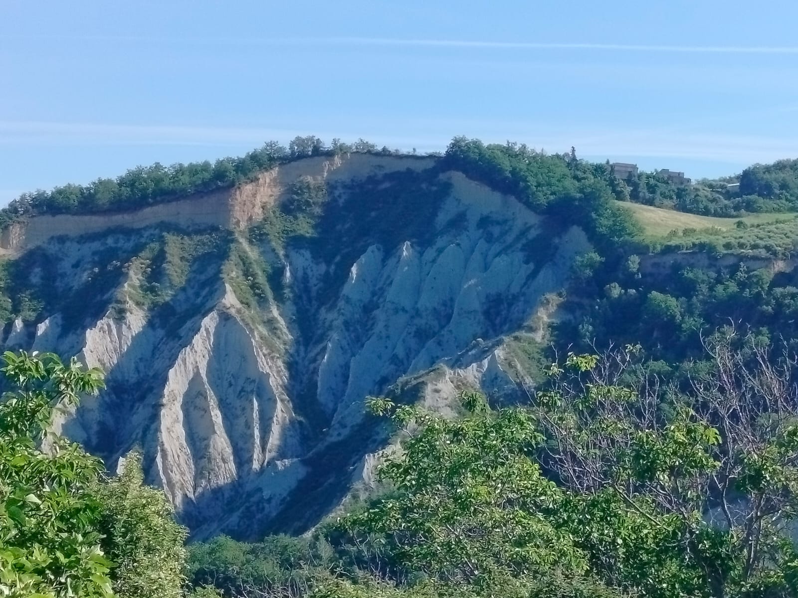 Exceptional Investment Opportunity in the Heart of Le Marche