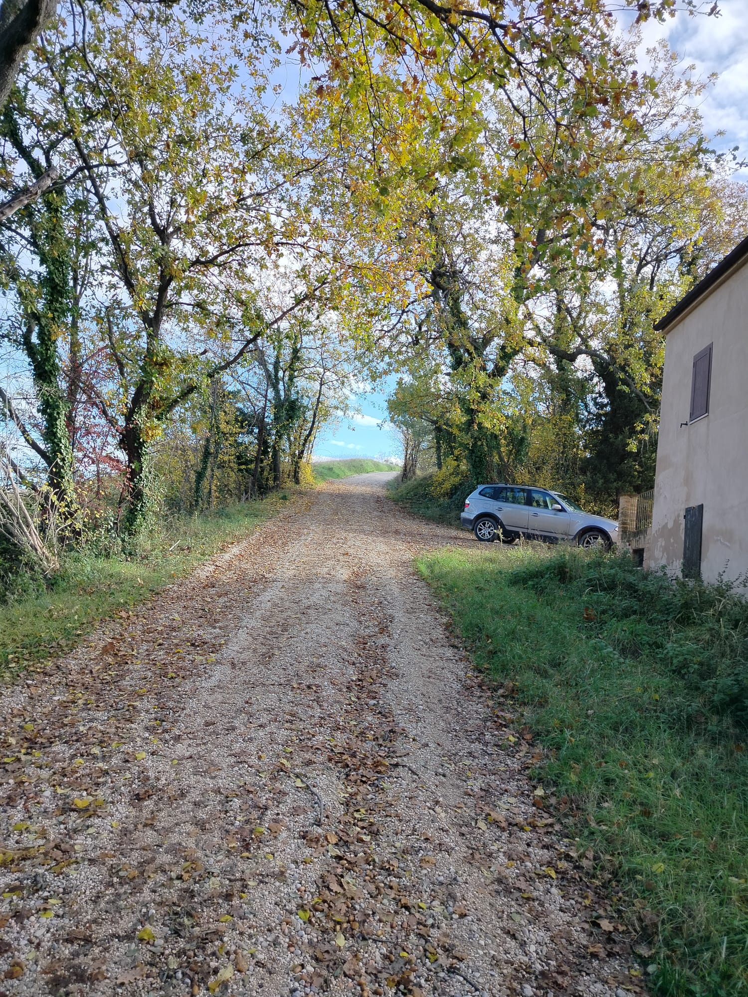 DETACHED HOUSE Offida (AP)