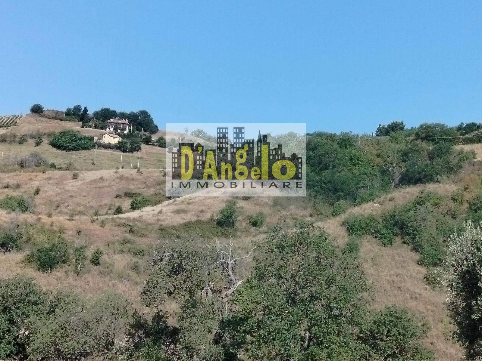 Charming Hilltop Farmhouse with Land and Panoramic Views – Offida
