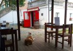 Rare Investment Opportunity In Liguria, Italy