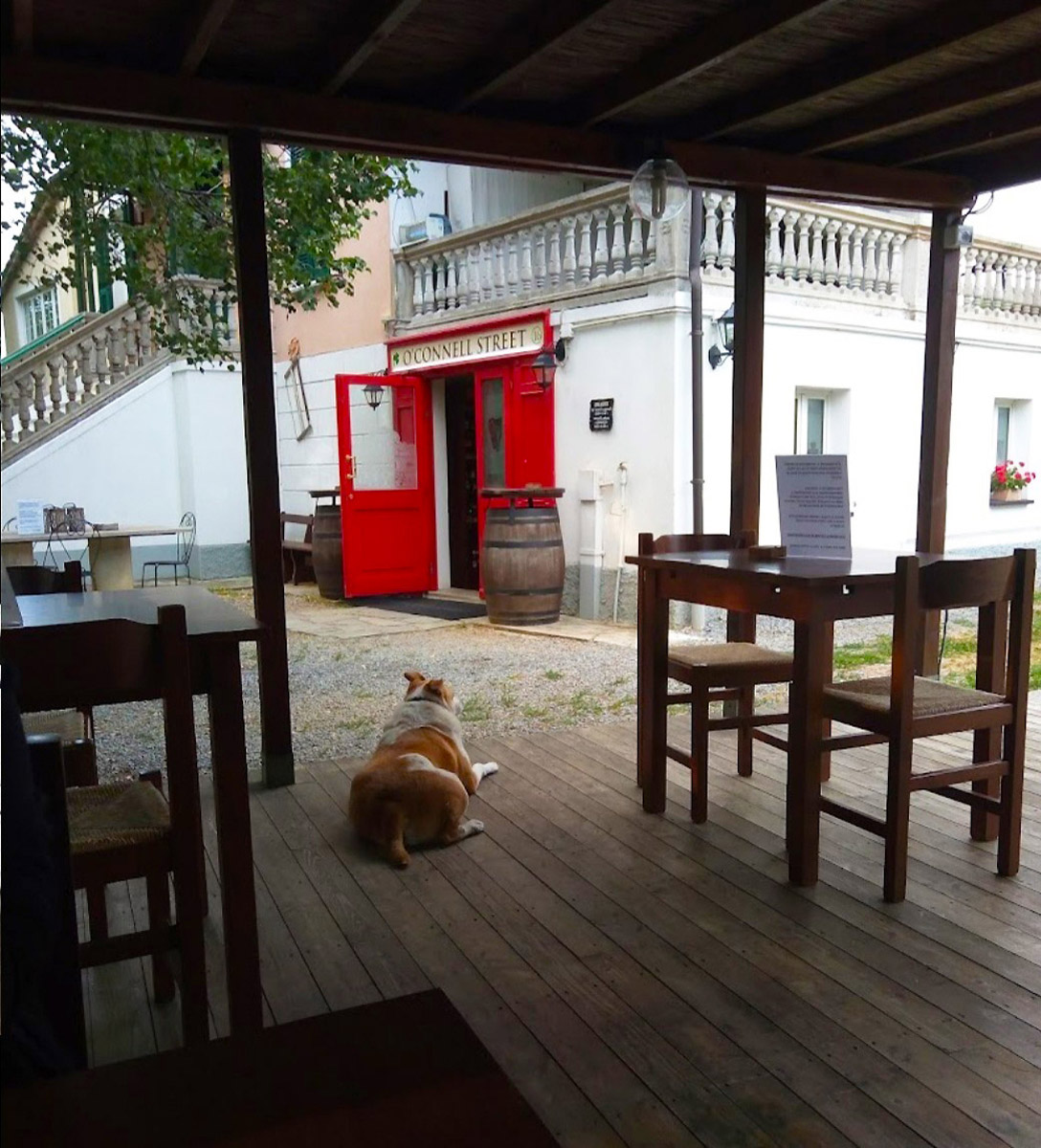 Rare Investment Opportunity In Liguria, Italy