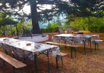Rare Investment Opportunity In Liguria, Italy