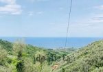 Rustic house with approved renovation project into three apartments in Cogorno, Lavagna