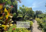 Villa for sale with sea view – Riviera Ligure